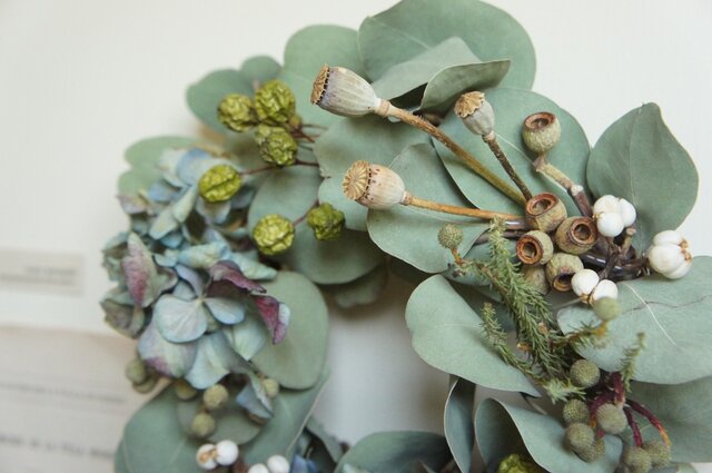 ユーカリと木ノ実と花々　リース ユーカリと木ノ実と花々 リース ユーカリリース（直径約45