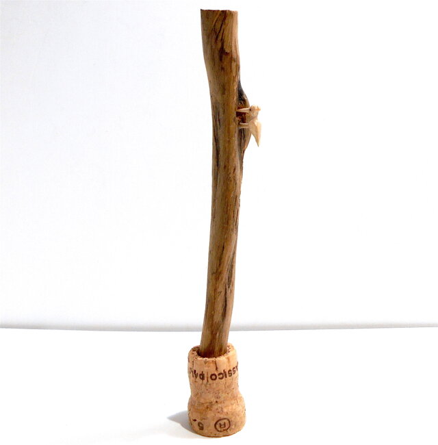 ツツキスギキツツキ コエダペン F