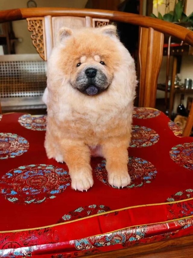 【オーダーメイド ペット】 羊毛 フェルト  亡くなったペット 羊毛フェルト チャウチャウ うちの子、ペット似顔絵、犬 猫 人形