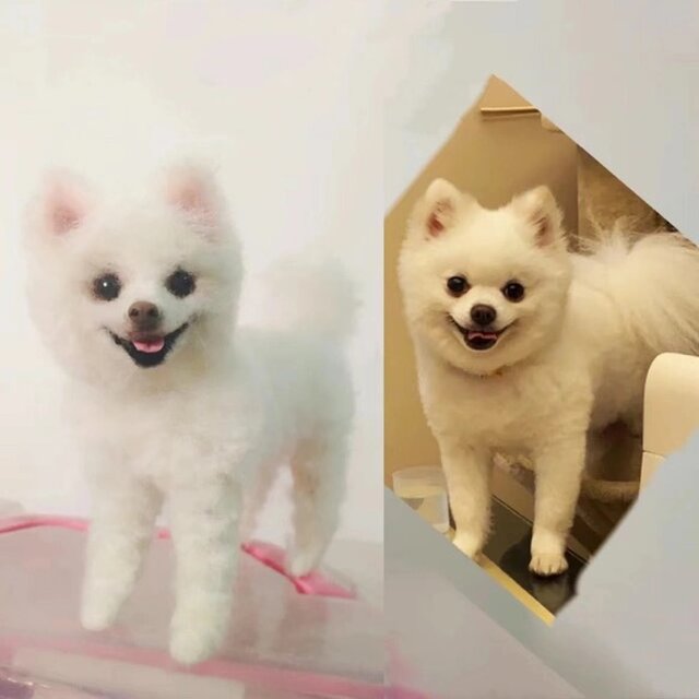 【オーダーメイド ペット】 ペット ぬいぐるみ オーダー 愛犬 羊毛フェルト ポメラニアン うちの子、ペット似顔絵、犬 猫 人形