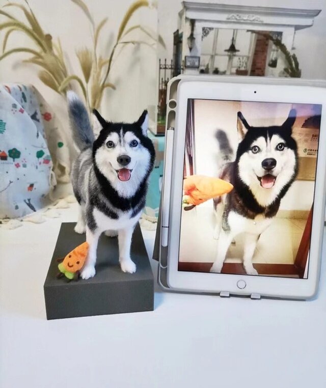 【オーダーメイド ペット】 羊毛 フェルト 犬 オーダー 羊毛フェルト ハスキー うちの子、ペット似顔絵、犬 猫 人形