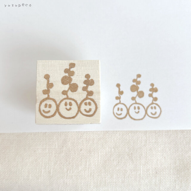 ボタニカルシリーズ　ステファニア