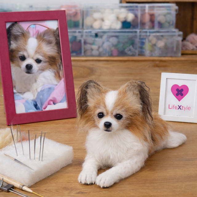 羊毛フェルト そっくり ペット オーダーメイド｜写真から作る ペット