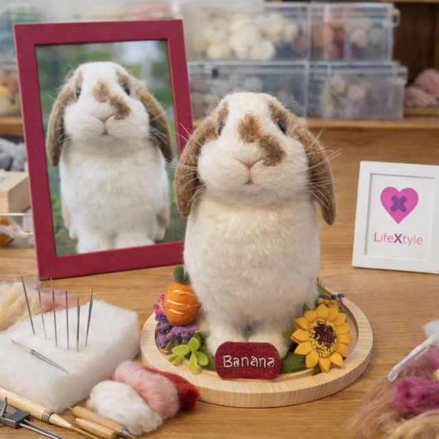 亡くなったうさぎを形に 羊毛フェルト｜写真から作る うちの子 | iichi