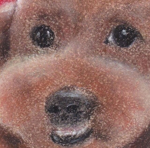 トイプードル（パステル画 原画） | iichi 日々の暮らしを心地よくする