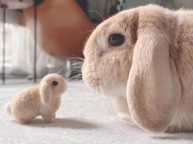 來兎ページ　ぬいぐるみオーダー 來兎ページ　ぬいぐるみオーダー