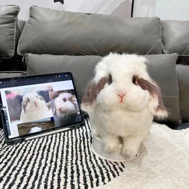 【オーダーメイドペット】 羊毛フェルト うさぎ 羊毛 フェルト うさぎ リアル オーダー ウサギ、うちの子、ペット似顔絵、人形