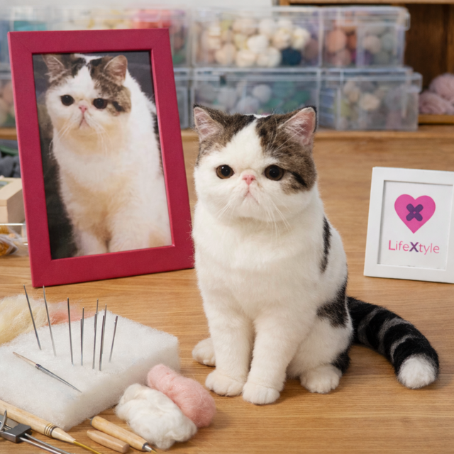 亡くなった愛猫を形に 羊毛フェルト｜写真から作る うちの子 | iichi