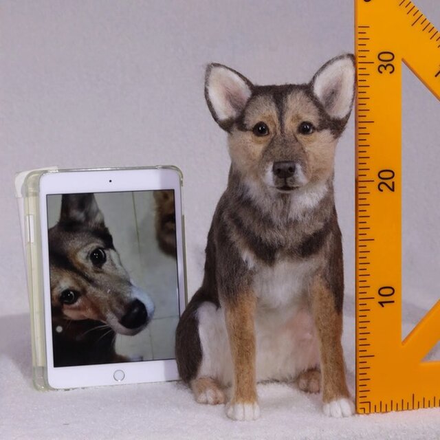 【オーダーメイド ペット】羊毛 フェルト 愛犬 人形 チェコ・ウルフドッグ うちの子、ペット似顔絵、犬 猫 人形