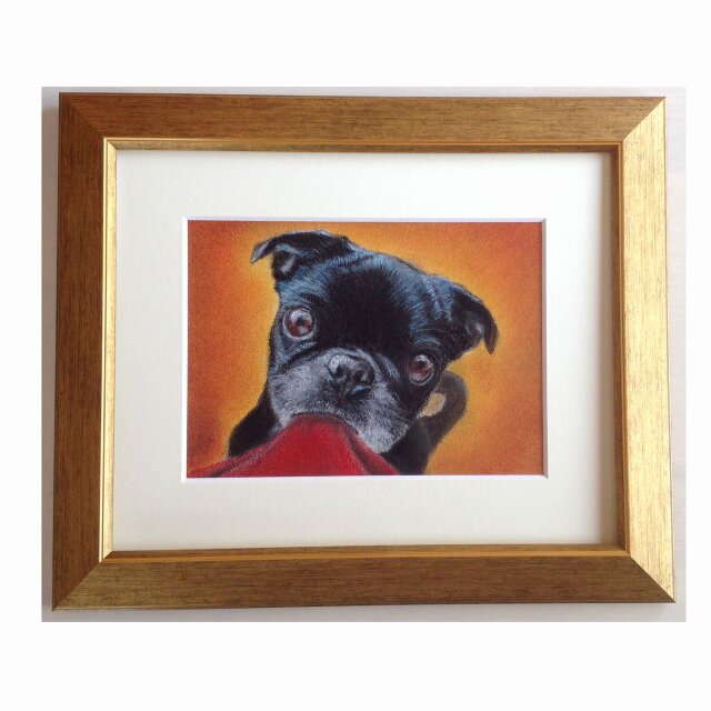 黒パグ（パステル画　原画）