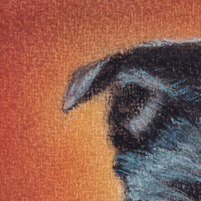 黒パグ（パステル画 原画） | iichi 日々の暮らしを心地よくする
