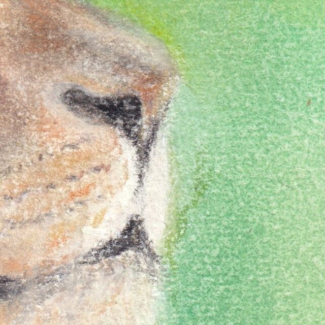 風を感じて（パステル画 原画） | iichi 日々の暮らしを心地よくする