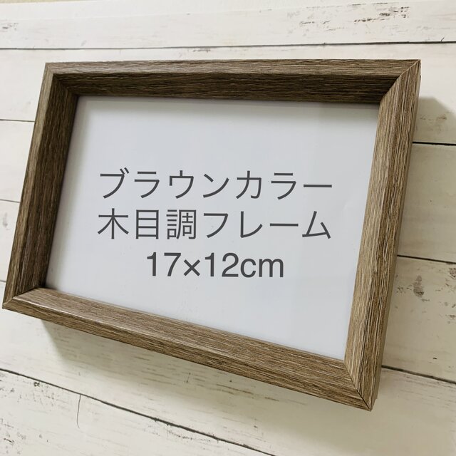 シーグラスアート インテリア雑貨 癒しの森 星に願いを 観葉植物 置物