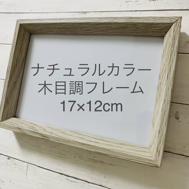 シーグラスアート インテリア雑貨 癒しの森 星に願いを 観葉植物