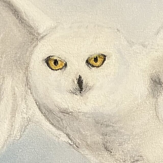 祝福の夜　ハンドメイドパステル画　絵画アート原画 祝福の夜 ハンドメイドパステル画 絵画アート原画 蛍の光の中で 穏