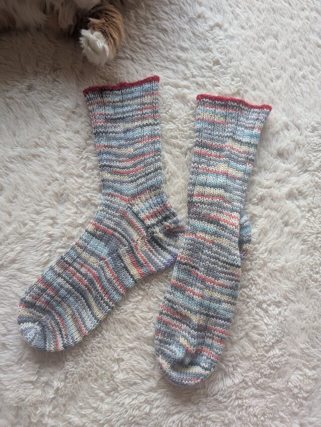 No.1534 手編み靴下