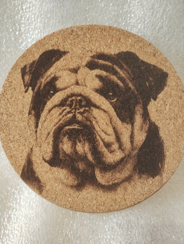 コースター　ブルドッグ