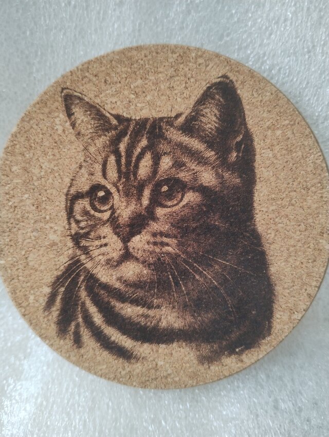 コースター　アメリカンショートヘア