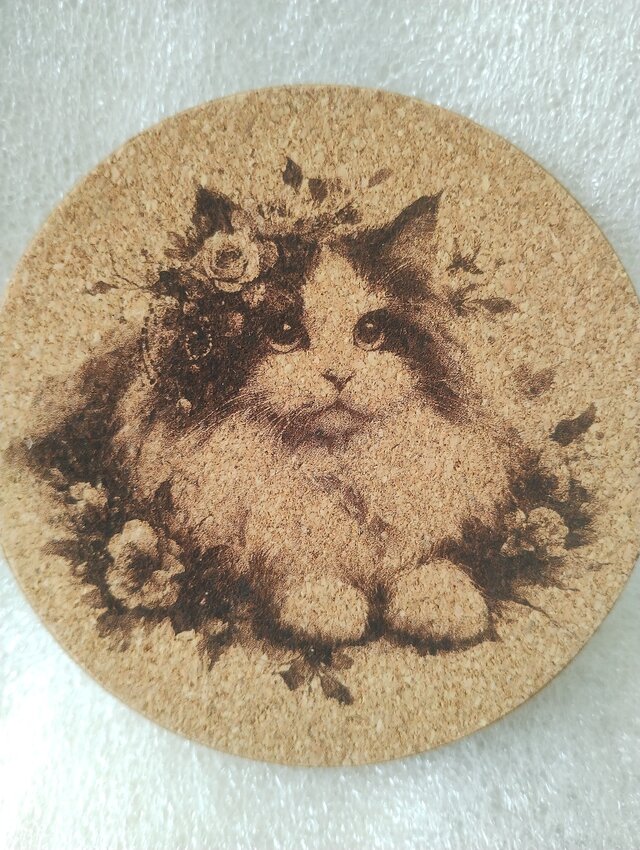 コースター　ラグドール