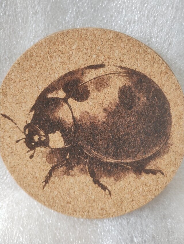コースター　テントウムシ