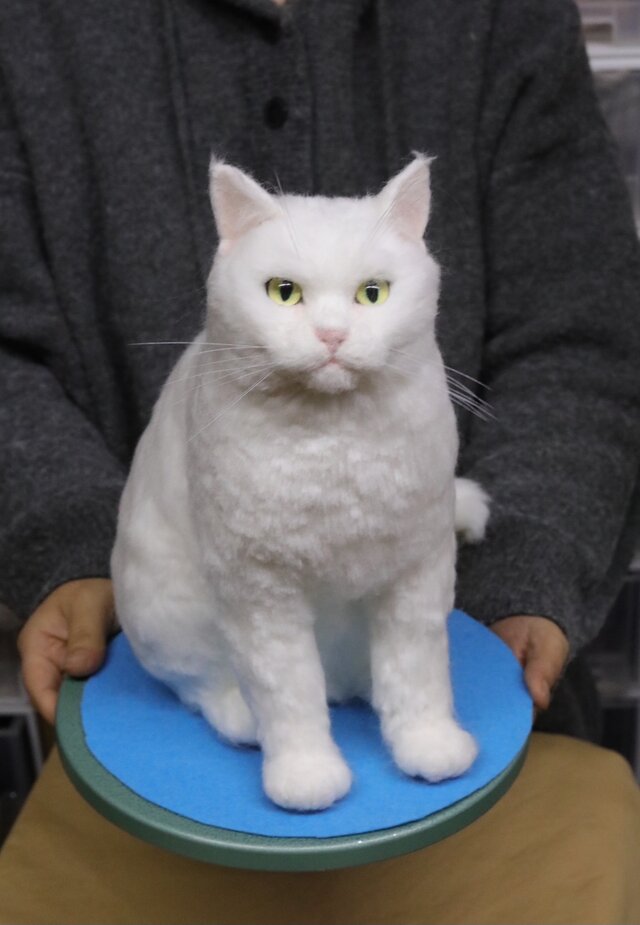 受注作製】羊毛フェルト、うちの子、猫ぬいぐるみ、フェルト猫