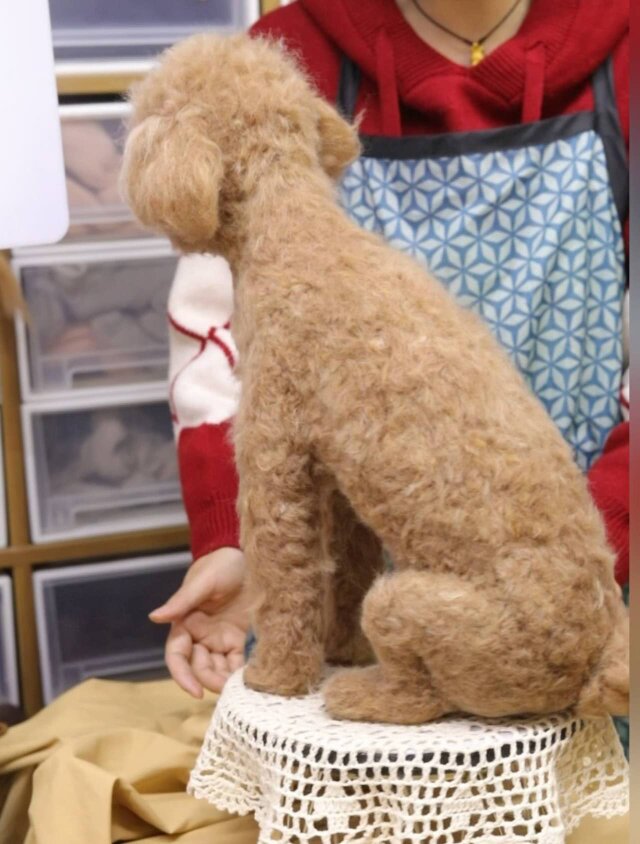 羊毛フェルト　獅子舞犬　トイプードル 羊毛フェルト トイプードルちゃん（伏せ） 羊毛フェルト