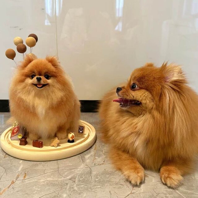 【オーダーメイド ペット】犬 ぬいぐるみ リアル  ペット ぬいぐるみ オーダー 博美犬 うちの子、ペット似顔絵、犬 猫 人形