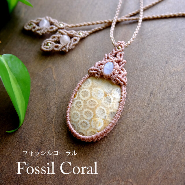 フォッシルコーラル（インドネシア産・化石珊瑚）ムーンストーン