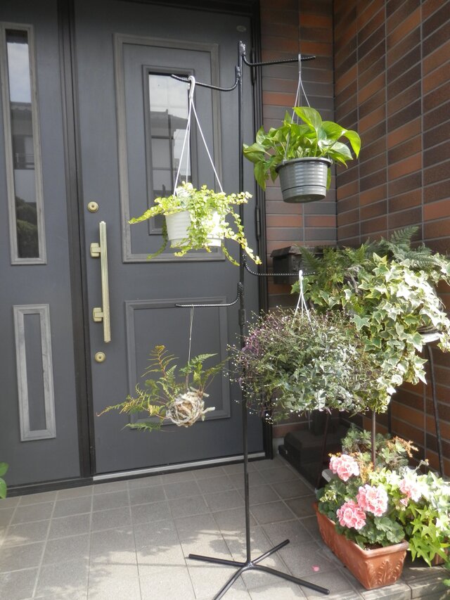 あなたのアイディアを形にしませんか    2025・4・5