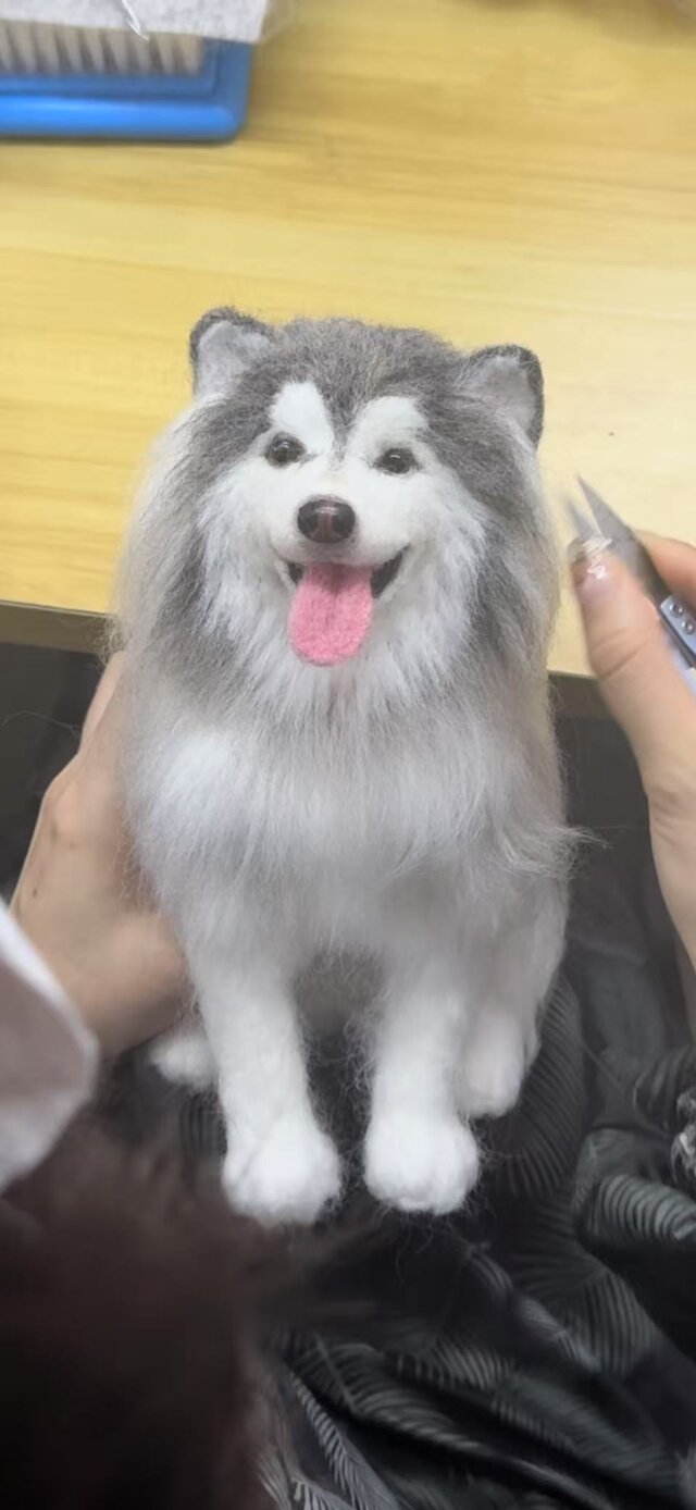 【オーダーメイド ペット】 羊毛 フェルト 犬 オーダー 犬 ぬいぐるみ オーダー ハスキー うちの子、ペット似顔絵、猫 人形