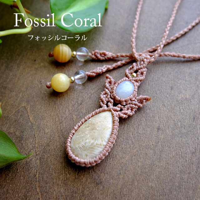 フォッシルコーラル（インドネシア産・化石珊瑚）ムーンストーン