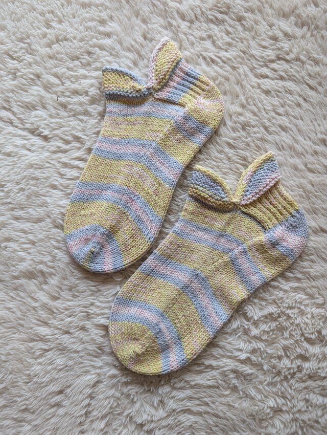 No.1537 うつぼソックス