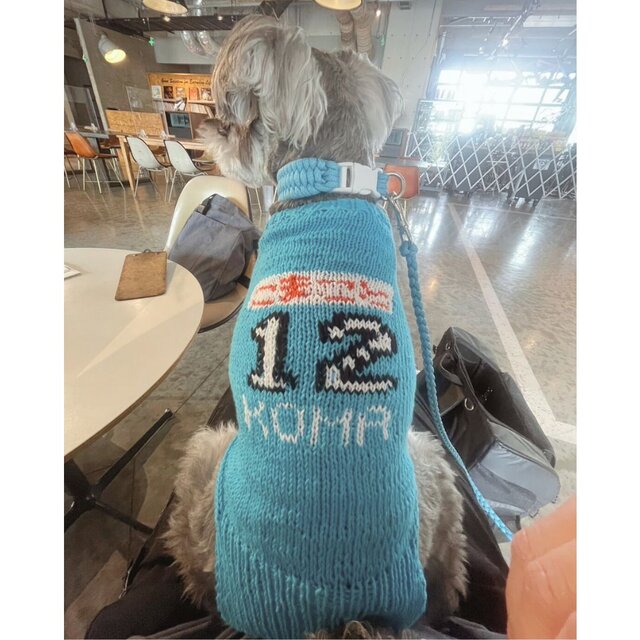 オールシーズン着用できる〜コットン糸の編み込みセーター〜