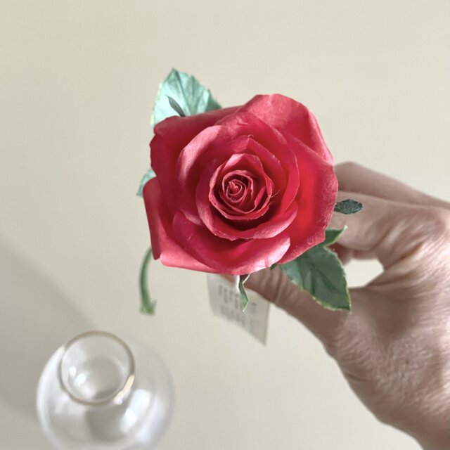 和紙の花》そのまま飾れるクリアケース入り|植物標本みたいな