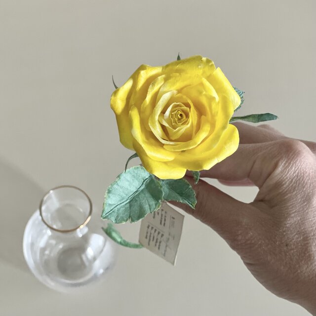 和紙の花》そのまま飾れるクリアケース入り|植物標本みたいな