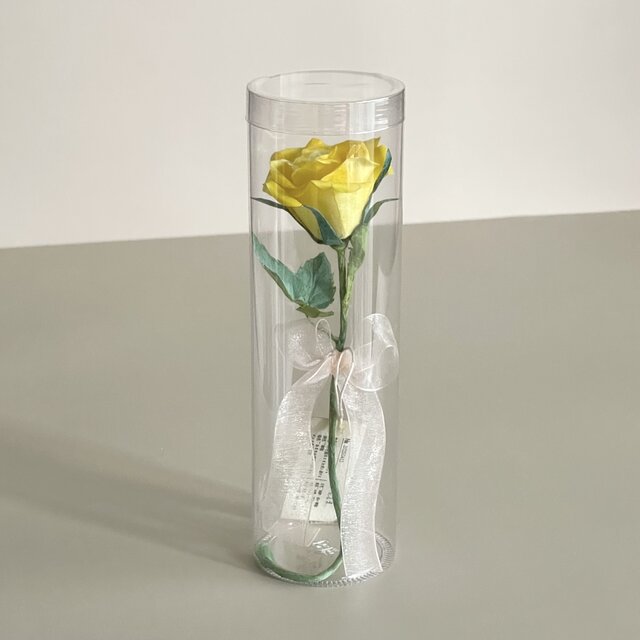 和紙の花》そのまま飾れるクリアケース入り|植物標本みたいな