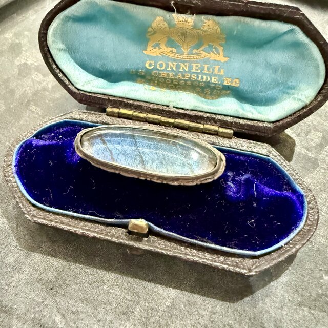 レア　TRIFARI ヴィンテージ　ターコイズ　カボション ブローチ 196 ヴィンテージ ターコイズブルーのモルフォウィングブローチ