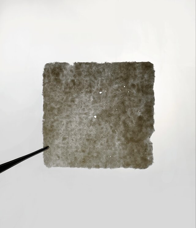 星の標本(オーダーメイド)