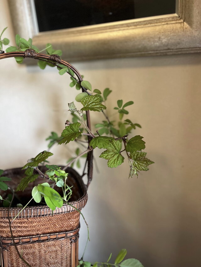 竹籠 花入れ 工芸品 茶道具 高さ63cm yk275 | iichi 日々の暮らしを