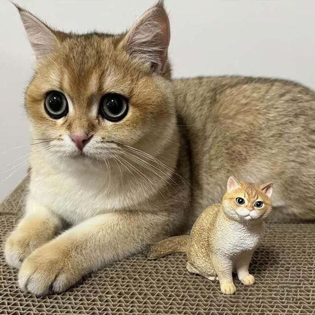 【受注作製】ペットギフト うちの子 写真入り 猫人形 フィギュア、名入れ 愛猫 肖像画 似顔絵❤ペットロス、誕生日、記念日