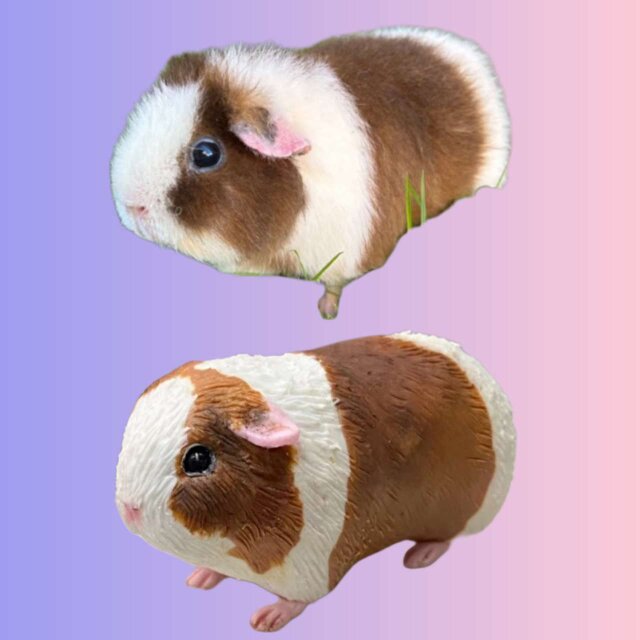 【受注作製】ペットギフト うちの子 モルモット 写真入り 人形 フィギュア、名入れ 似顔絵❤ペットロス、誕生日、記念日