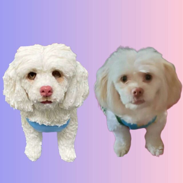 【受注作製】ペットギフト うちの子 写真入り 猫人形 フィギュア、名入れ 愛猫 肖像画 似顔絵❤ペットロス、誕生日、記念日