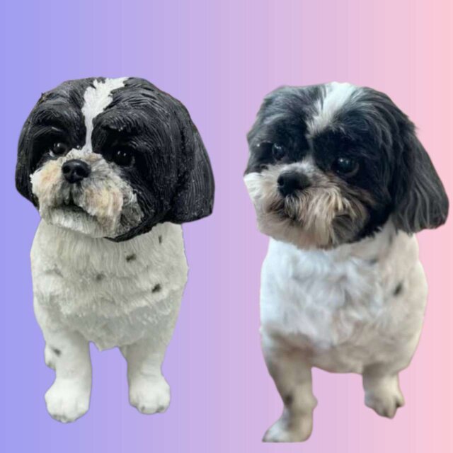 【受注作製】ペットギフト うちの子 写真入り 猫人形 フィギュア、名入れ 愛猫 肖像画 似顔絵❤ペットロス、誕生日、記念日