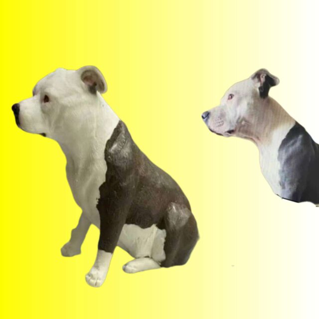 【受注作製】ペットギフト うちの子 写真入り 犬人形 フィギュア、名入れ 愛犬 肖像画 似顔絵❤ペットロス、誕生日、記念日