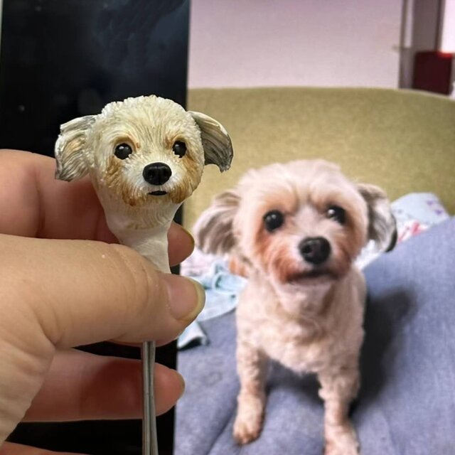 【受注作製】ペットギフト うちの子 オウム 鳥 写真入り 人形 フィギュア、名入れ 似顔絵❤ペットロス、誕生日、記念日のコピー