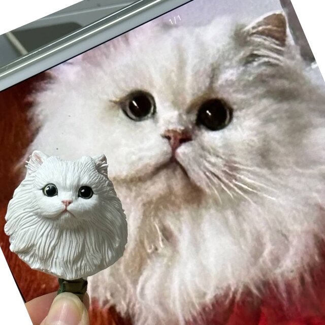 【受注作製】ペットギフト うちの子 オウム 鳥 写真入り 人形 フィギュア、名入れ 似顔絵❤ペットロス、誕生日、記念日のコピー
