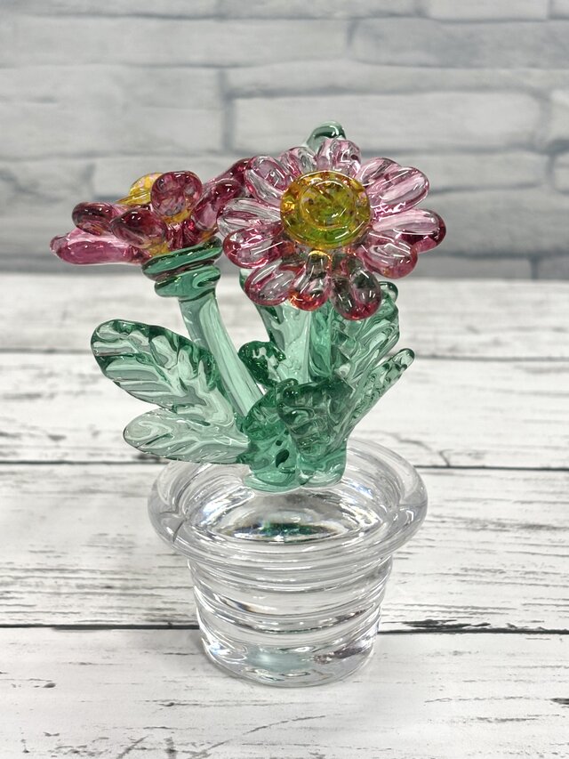 4月の鉢植え マーガレット | iichi 日々の暮らしを心地よくする