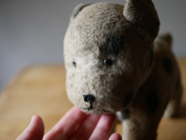 ドット柄のワンちゃん 犬 アンティークトイ ぬいぐるみ フランス