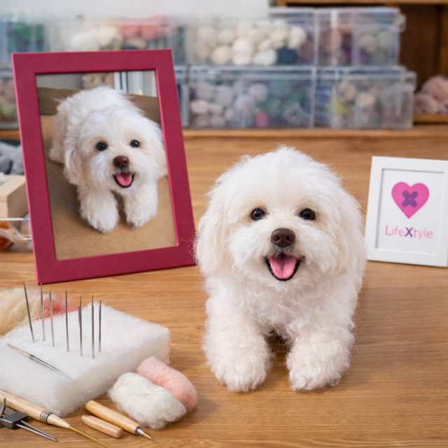 ビションフリーゼ 羊毛フェルト｜写真から作る 愛犬ドール | iichi