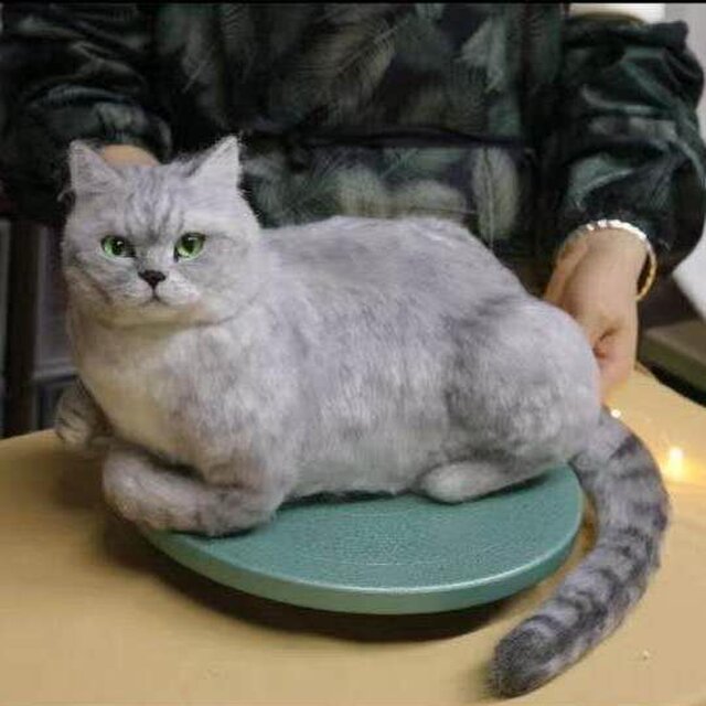 オーダーメイド ペット】 猫 ぬいぐるみ リアル オーダーメイド